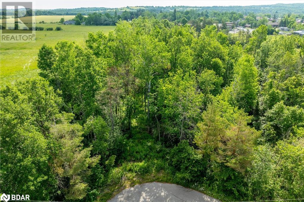 N/a Alma Street N, Omemee, Ontario  K0L 2W0 - Photo 33 - 40745452