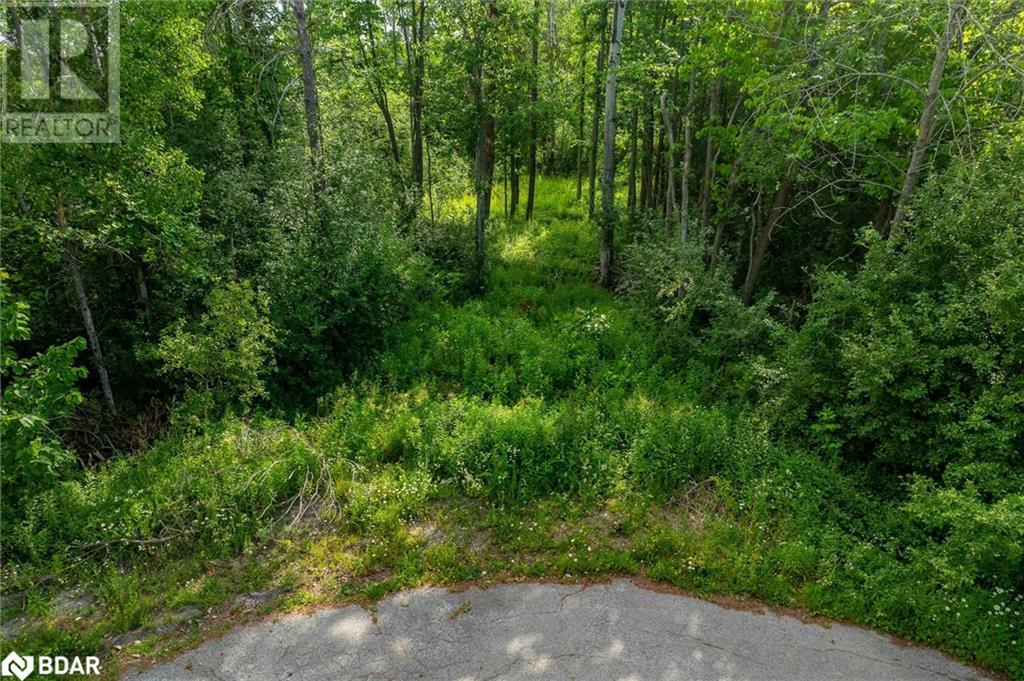 N/a Alma Street N, Omemee, Ontario  K0L 2W0 - Photo 34 - 40745452