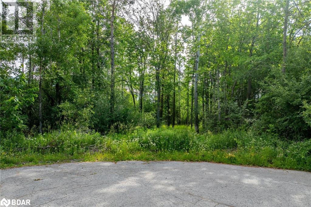 N/a Alma Street N, Omemee, Ontario  K0L 2W0 - Photo 35 - 40745452