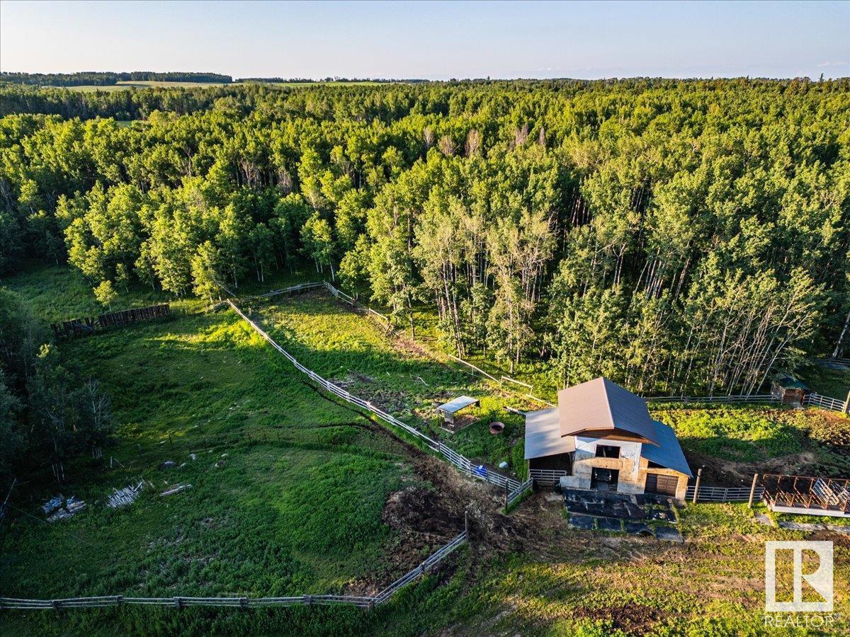 453039 Rge Road 10, Rural Wetaskiwin County, Alberta  T0C 2V0 - Photo 33 - E4444392