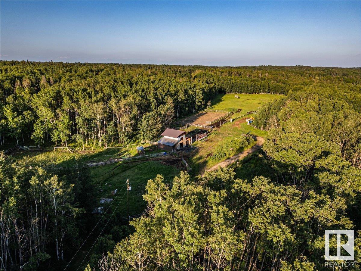 453039 Rge Road 10, Rural Wetaskiwin County, Alberta  T0C 2V0 - Photo 53 - E4444392