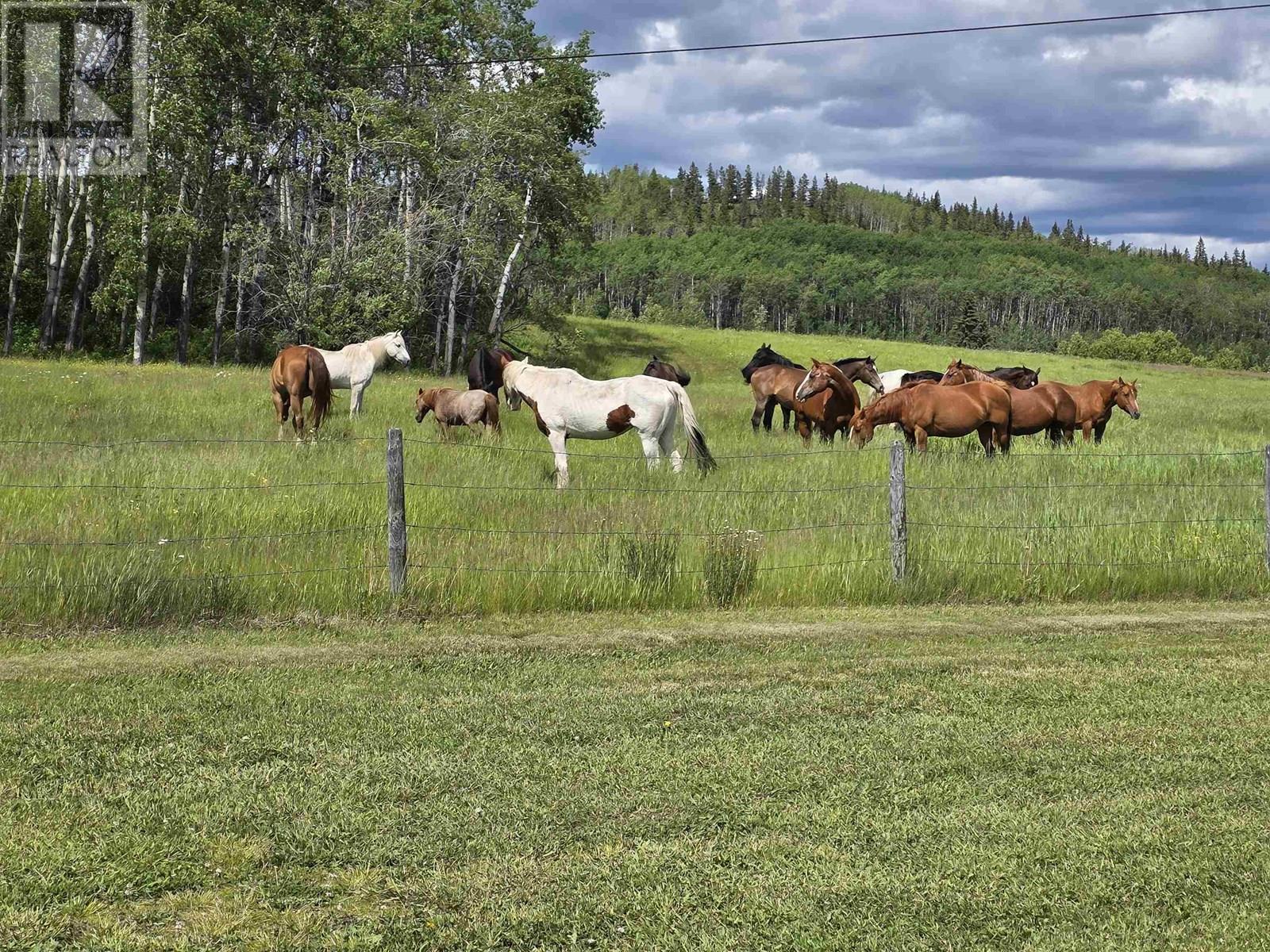 6219 Brown Road, Burns Lake, British Columbia  V0J 1E2 - Photo 33 - R2977020