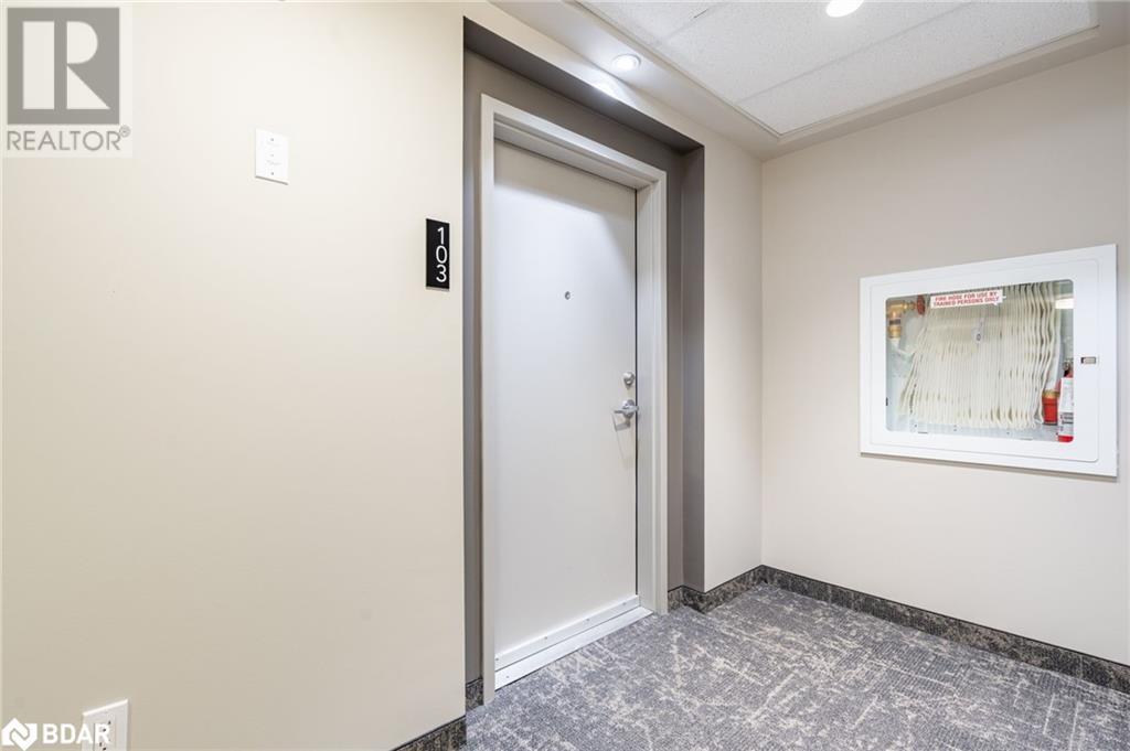 120 Summersides Boulevard Unit# 103, Fonthill, Ontario  L0S 1E1 - Photo 4 - 40743865