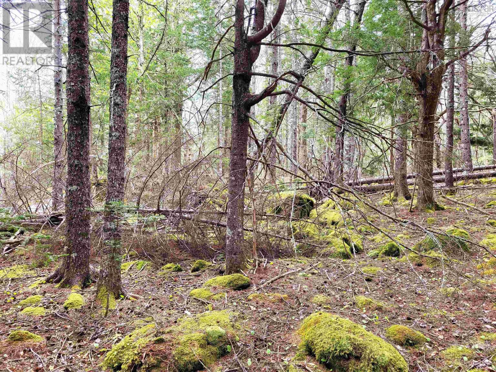 Lot Hirtle Road, Voglers Cove, Nova Scotia  B0J 2H0 - Photo 29 - 202417604