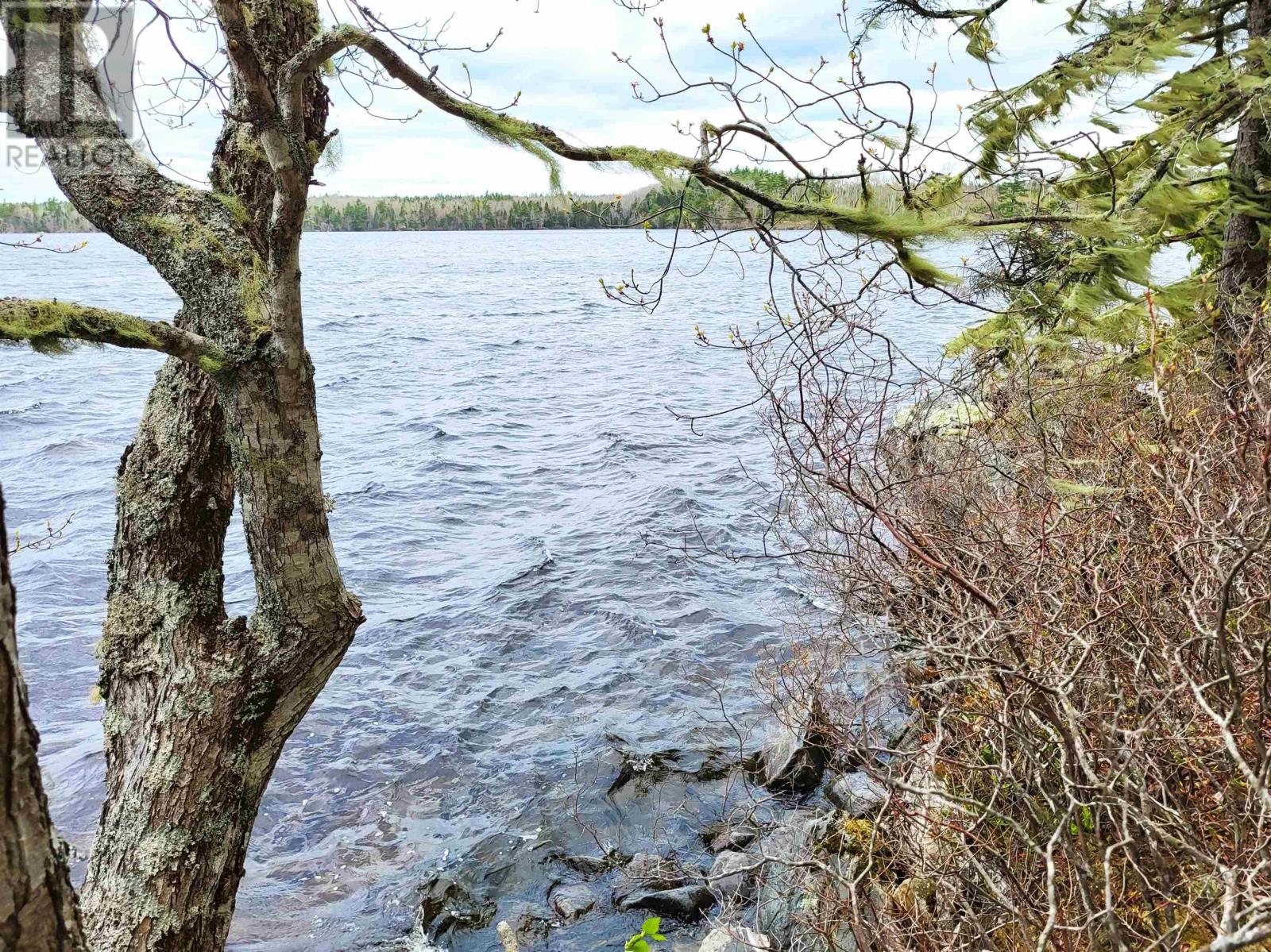 Lot Hirtle Road, Voglers Cove, Nova Scotia  B0J 2H0 - Photo 10 - 202417604