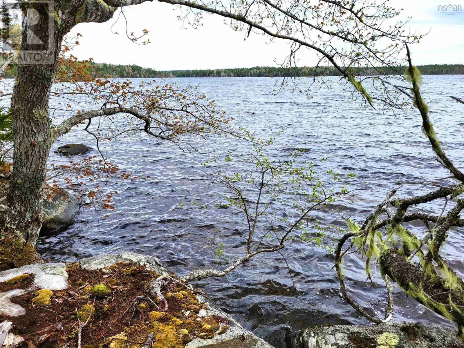Lot Hirtle Road, Voglers Cove, Nova Scotia  B0J 2H0 - Photo 19 - 202417604