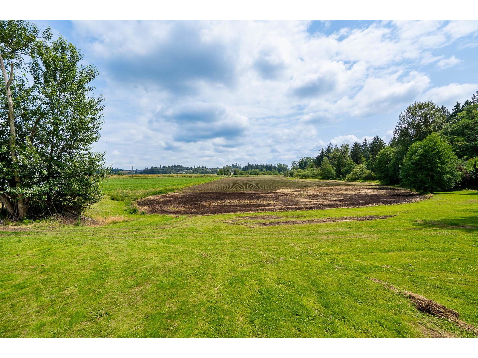 5948 156 Street, Surrey, British Columbia  V3S 4N7 - Photo 20 - C8070346