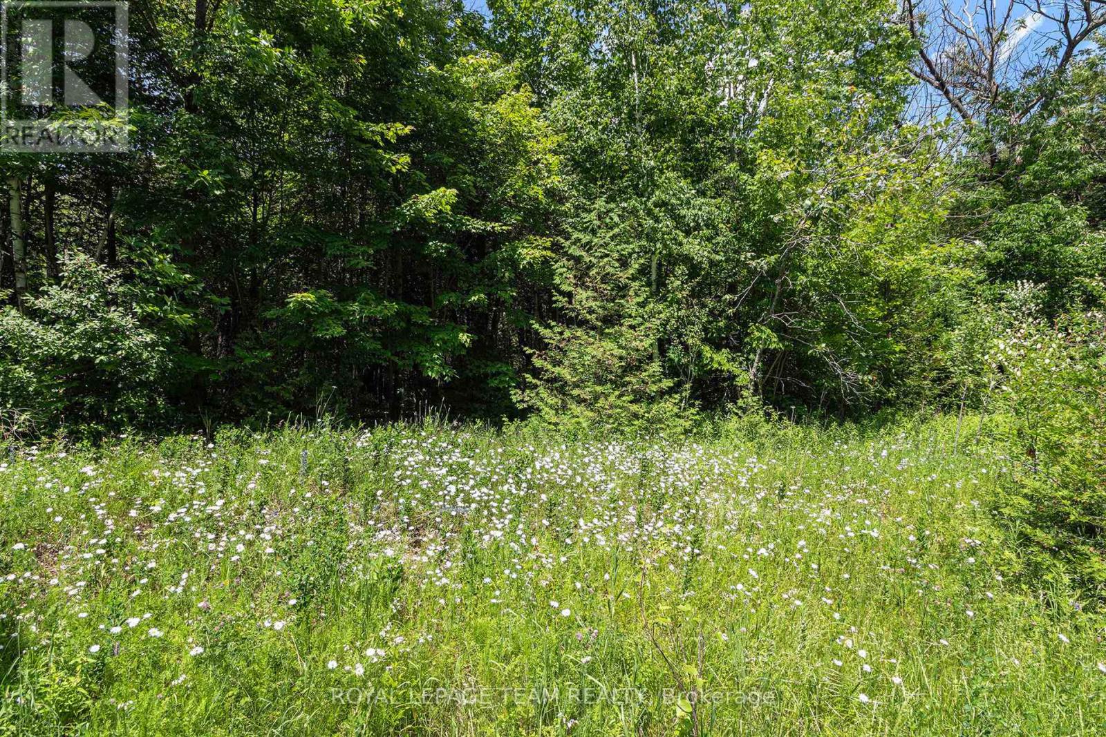 L2- 3575 Paden Road, Ottawa, Ontario  K0A 2T0 - Photo 3 - X12247338