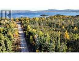 Lot 70 Kellys Point, Howley, Newfoundland & Labrador