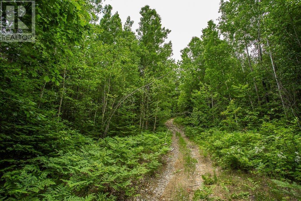 Highway 17 Sheppards Lane/strawberry Hill Rd, Spragge, Ontario  P0R 1K0 - Photo 17 - SM251693