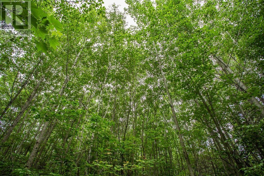 Highway 17 Sheppards Lane/strawberry Hill Rd, Spragge, Ontario  P0R 1K0 - Photo 19 - SM251693