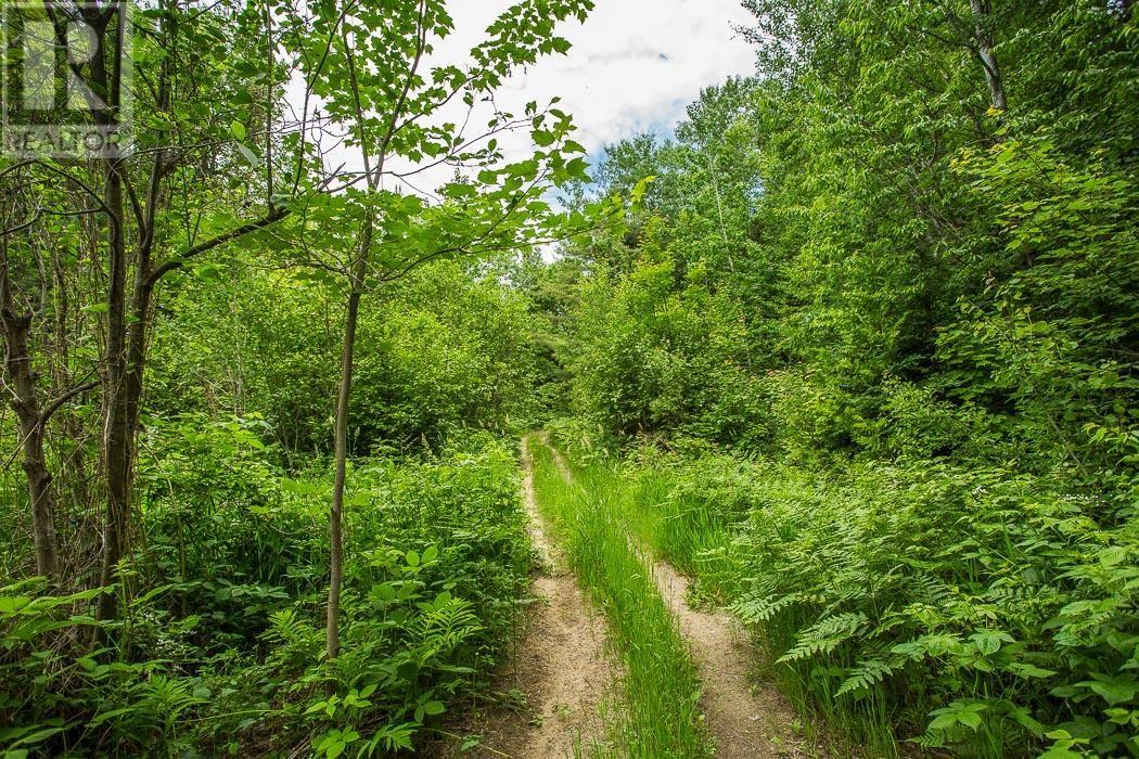 Highway 17 Sheppards Lane/strawberry Hill Rd, Spragge, Ontario  P0R 1K0 - Photo 7 - SM251693