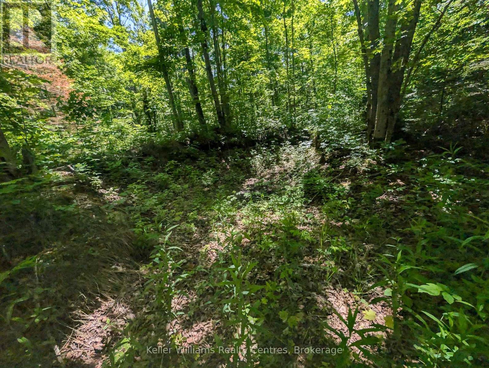 590-608 Huron Road, South Bruce Peninsula, Ontario  N0H 2T0 - Photo 24 - X12247786