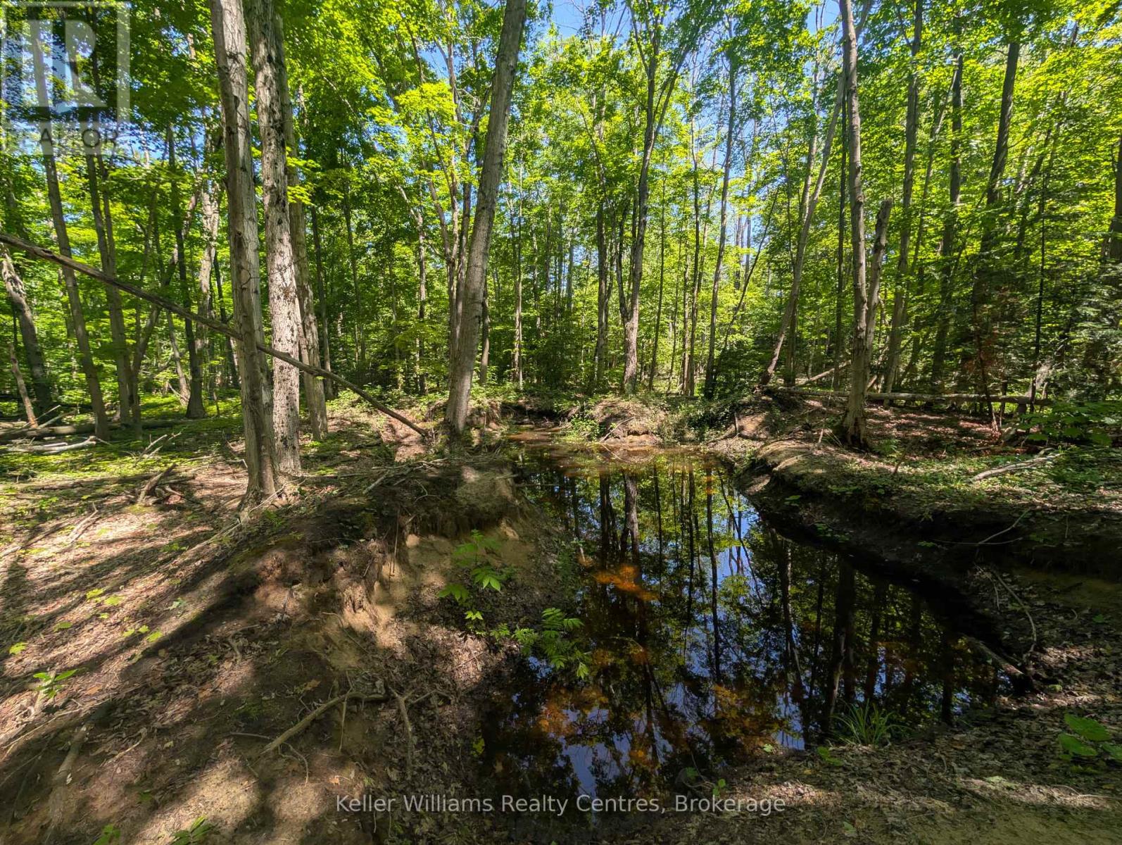 590-608 Huron Road, South Bruce Peninsula, Ontario  N0H 2T0 - Photo 34 - X12247786