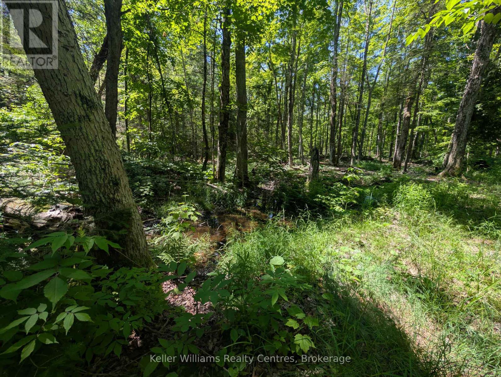 590-608 Huron Road, South Bruce Peninsula, Ontario  N0H 2T0 - Photo 36 - X12247786