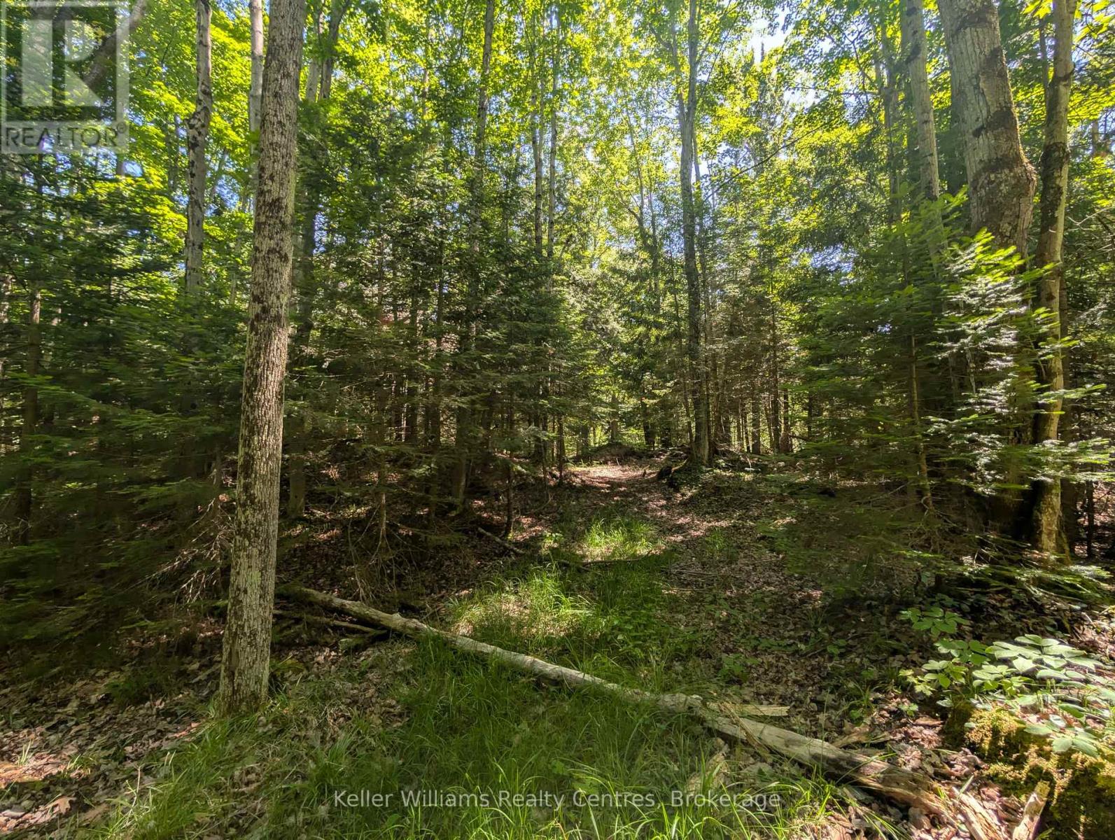 590-608 Huron Road, South Bruce Peninsula, Ontario  N0H 2T0 - Photo 38 - X12247786