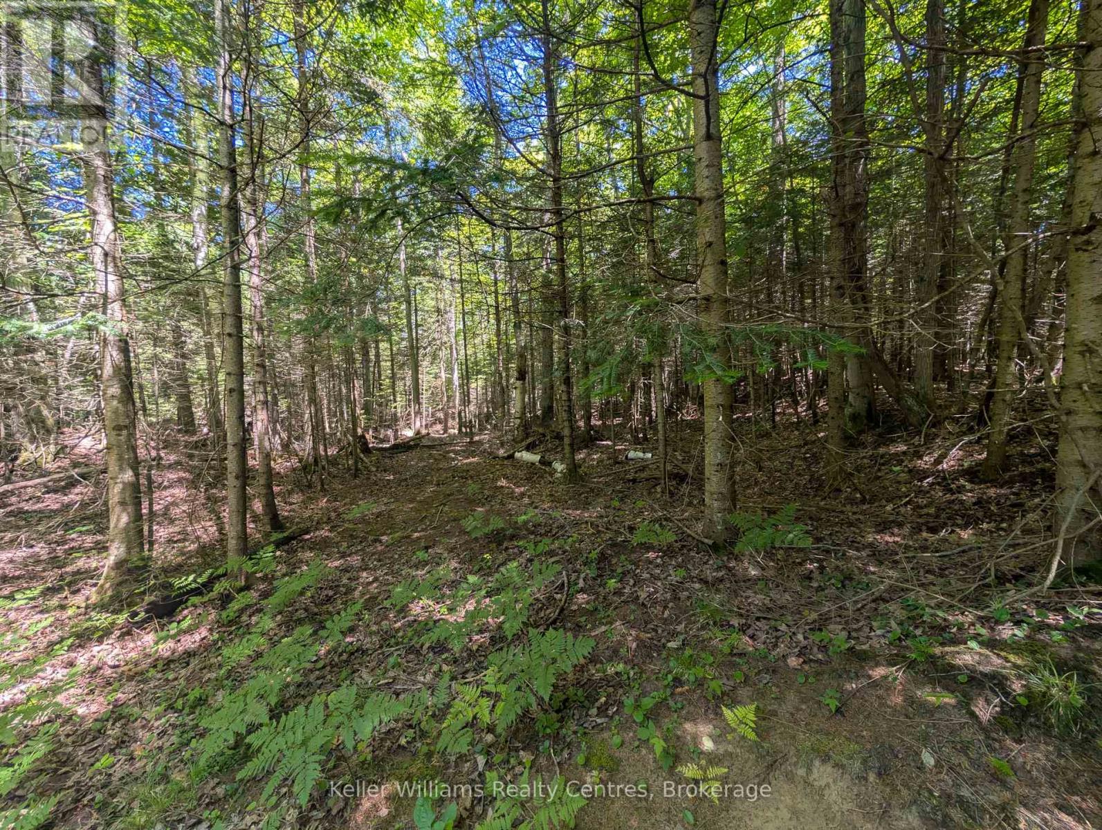 590-608 Huron Road, South Bruce Peninsula, Ontario  N0H 2T0 - Photo 41 - X12247786