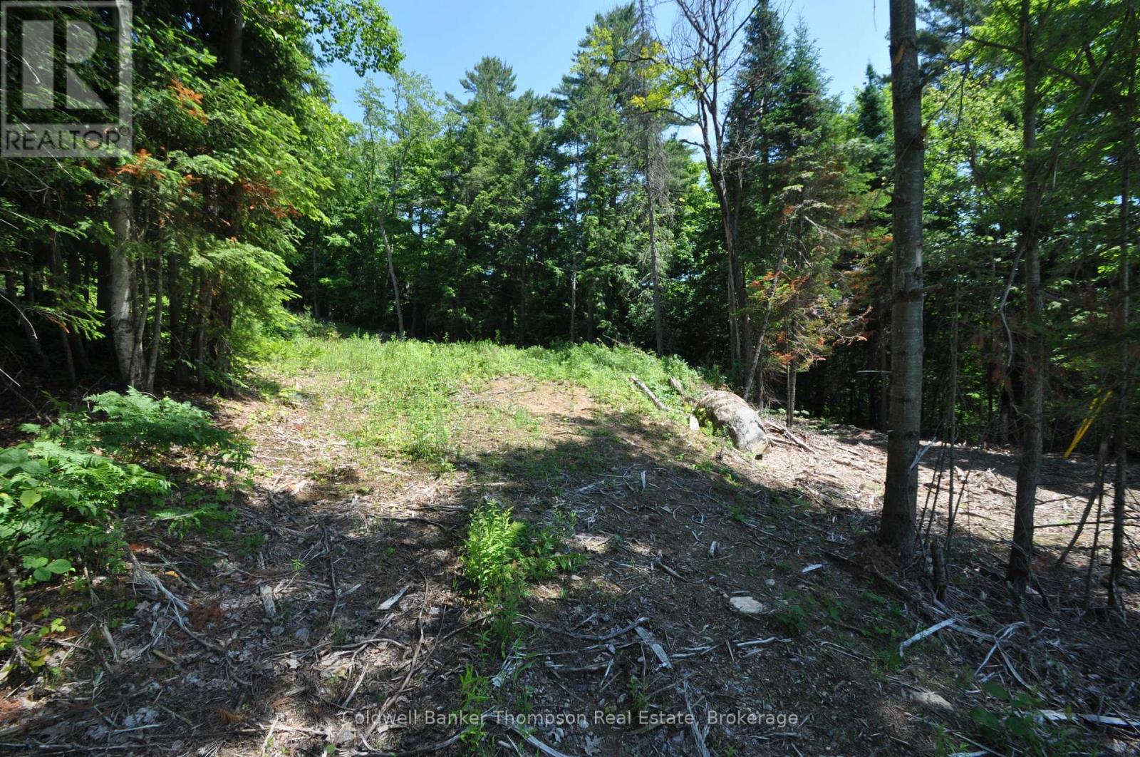 235 Sinclair Road, Huntsville, Ontario  P1H 0J6 - Photo 27 - X12247886