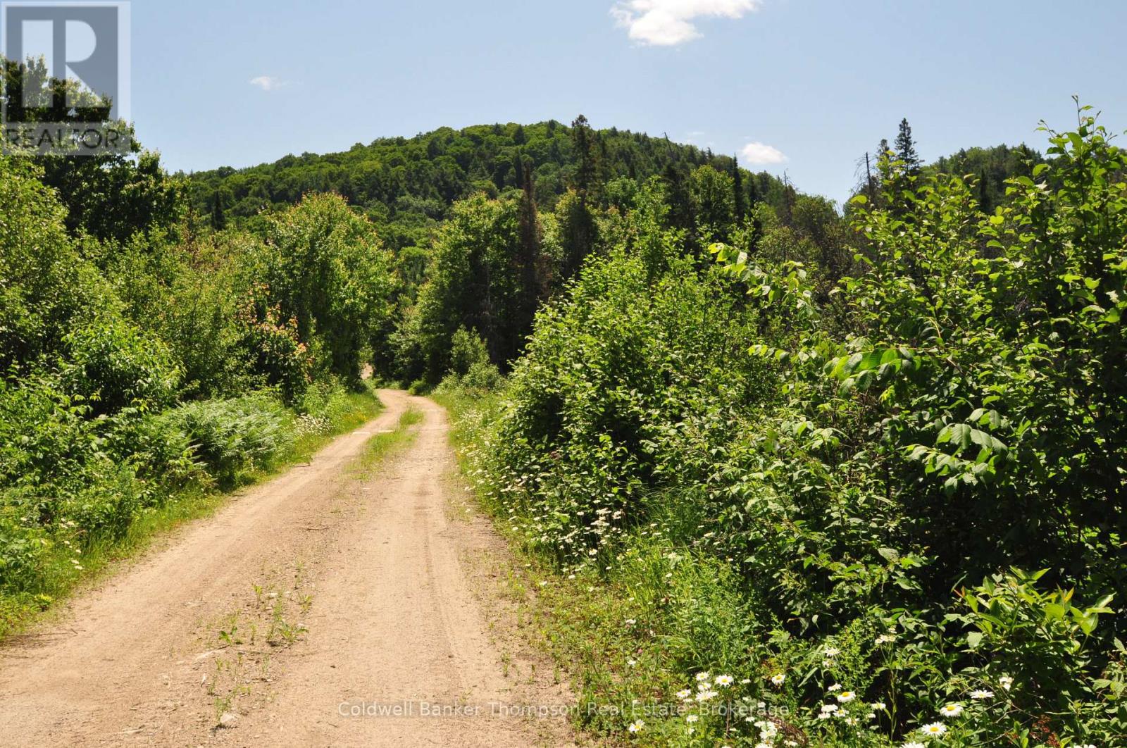 235 Sinclair Road, Huntsville, Ontario  P1H 0J6 - Photo 36 - X12247886