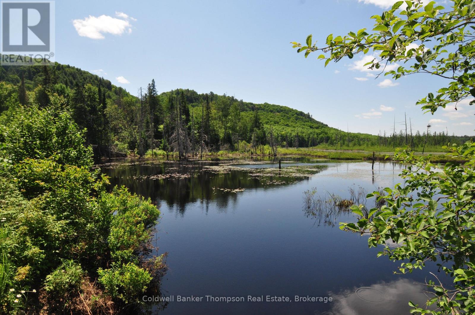 235 Sinclair Road, Huntsville, Ontario  P1H 0J6 - Photo 6 - X12247886