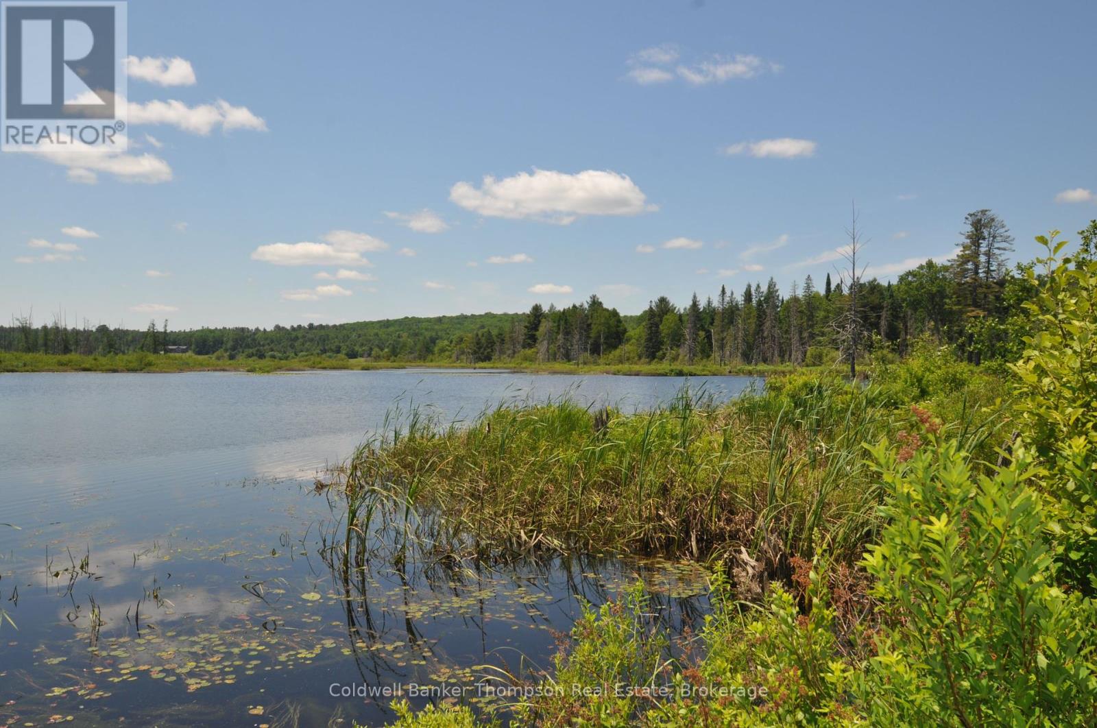235 Sinclair Road, Huntsville, Ontario  P1H 0J6 - Photo 30 - X12247889