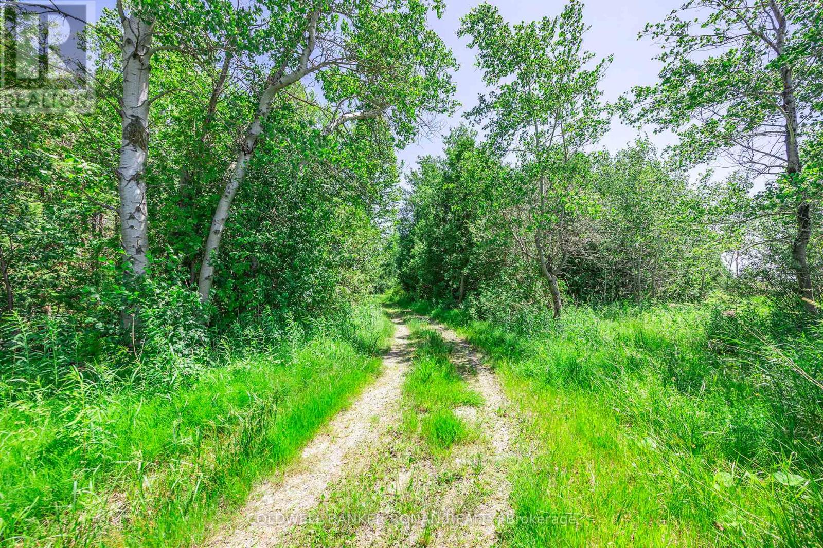 5977 13th Line, New Tecumseth, Ontario  L0L 1L0 - Photo 46 - N12247750