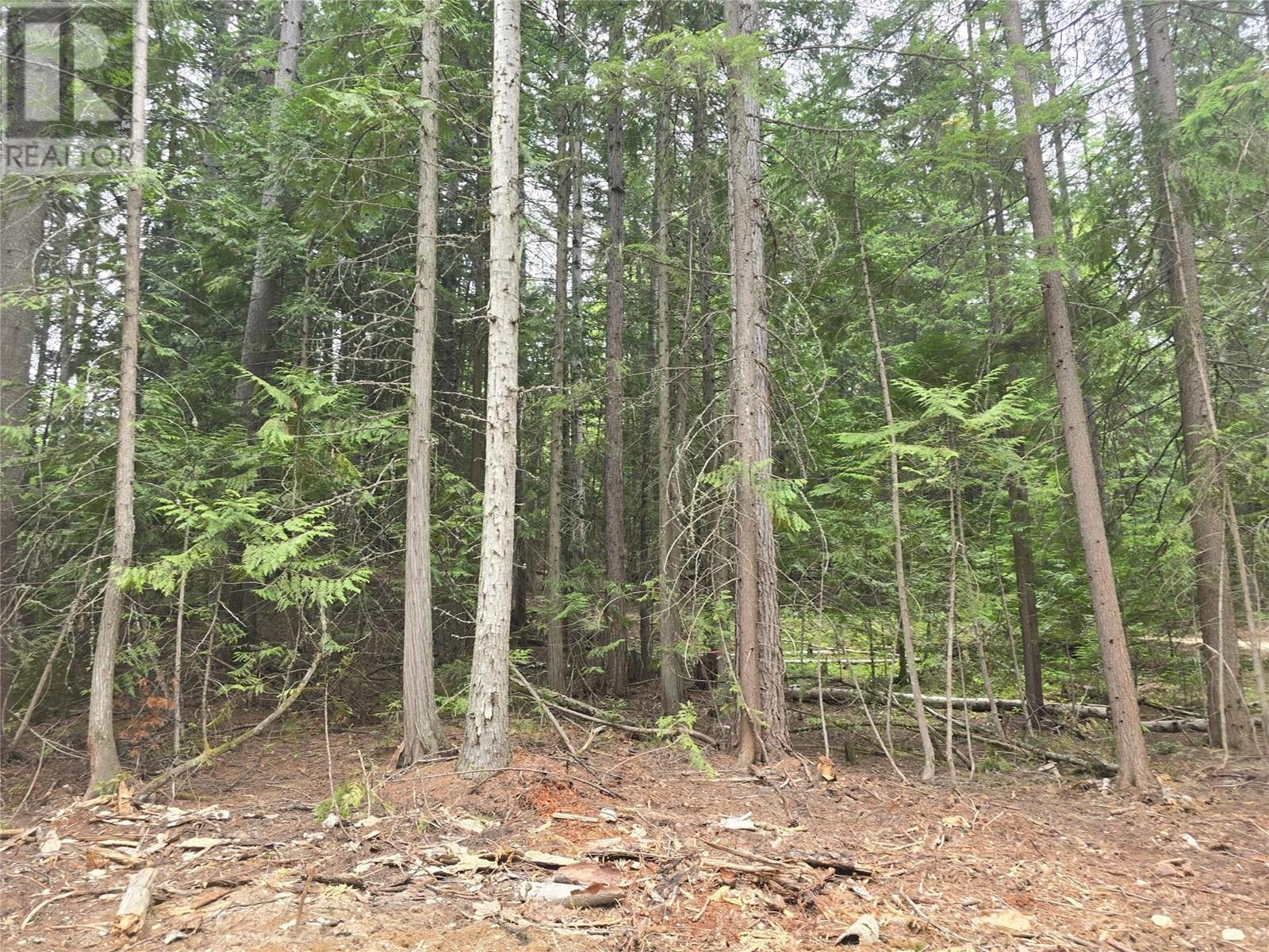 Lot B Thompson Road, Bonnington, British Columbia  V0G 2G3 - Photo 12 - 10348639