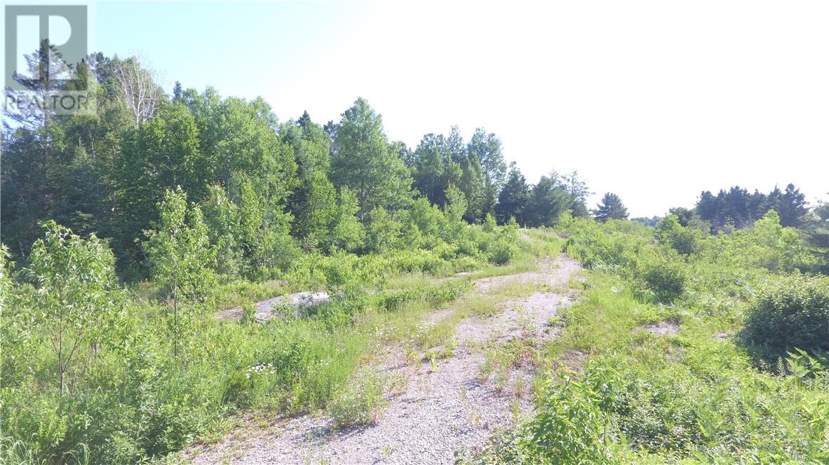 2245 Wolseley Bay Road, Noelville, Ontario  P0M 2N0 - Photo 2 - 2123158