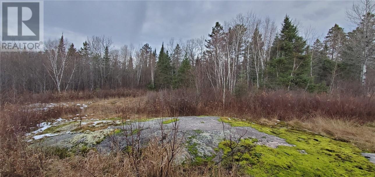 2245 Wolseley Bay Road, Noelville, Ontario  P0M 2N0 - Photo 4 - 2123158