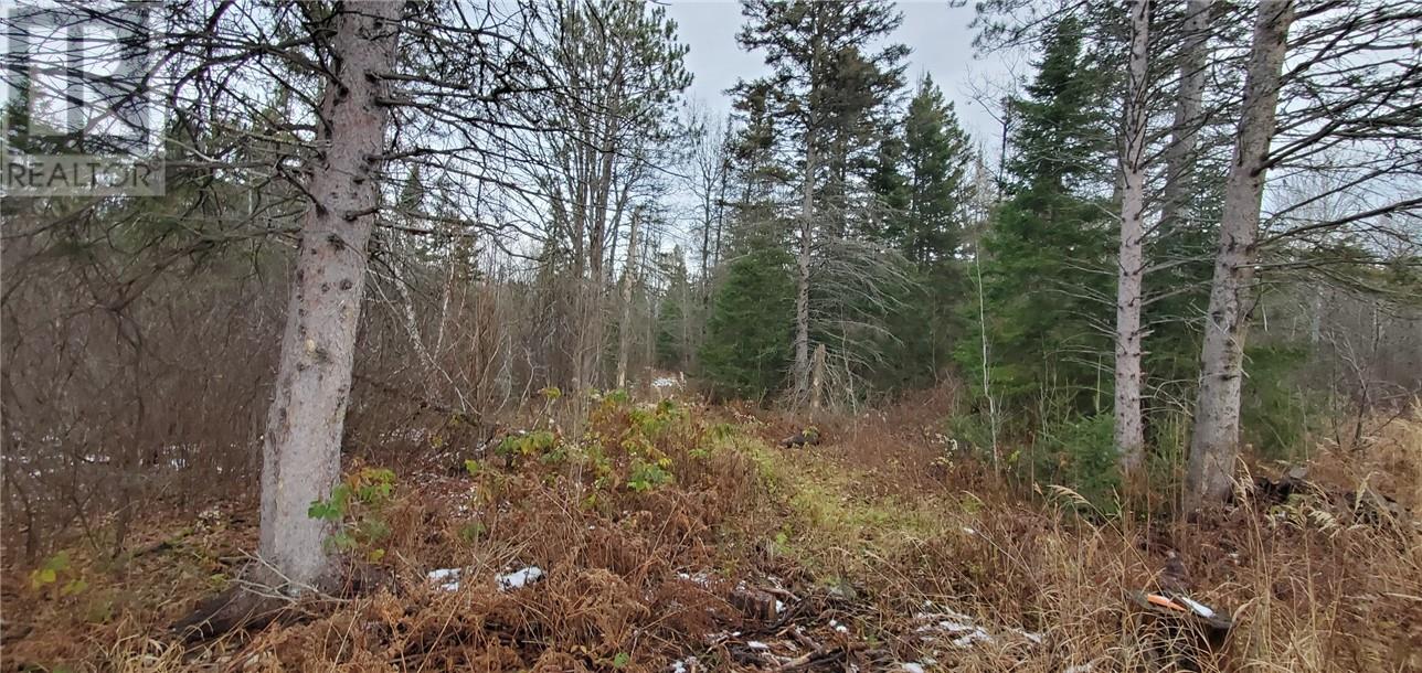 2245 Wolseley Bay Road, Noelville, Ontario  P0M 2N0 - Photo 6 - 2123158