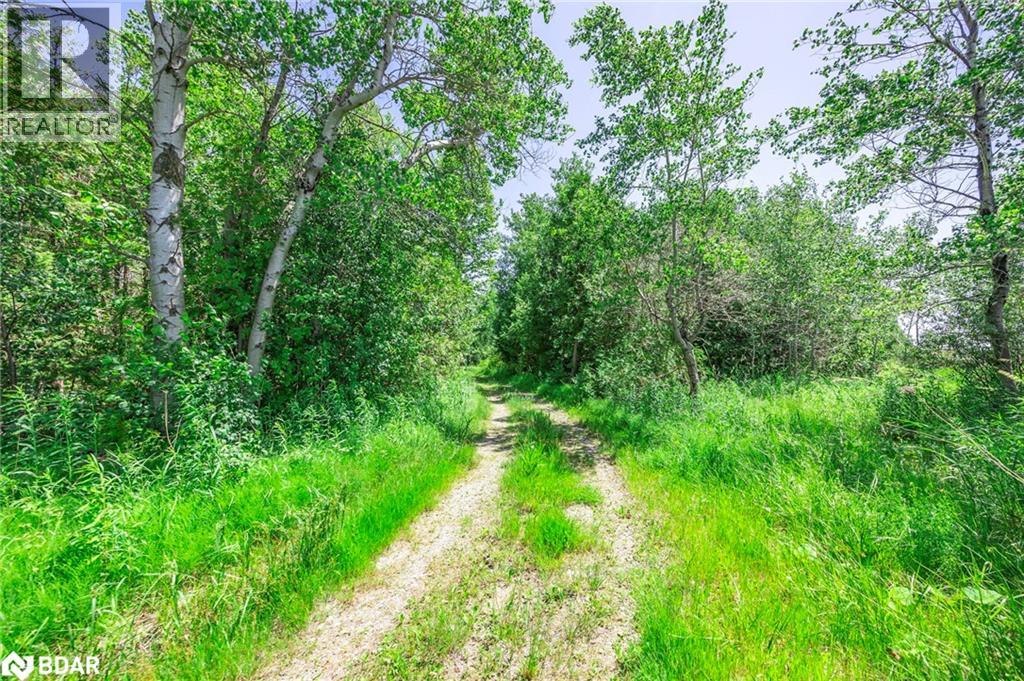 5977 13th Line, New Tecumseth, Ontario  L0L 1L0 - Photo 46 - 40744859