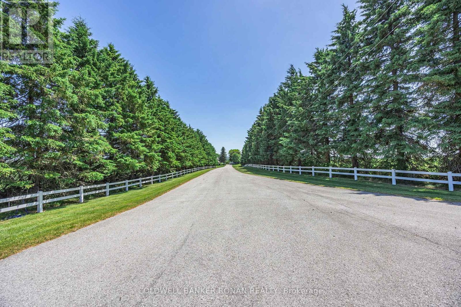 5977 13th Line, New Tecumseth, Ontario  L0L 1L0 - Photo 4 - N12247742