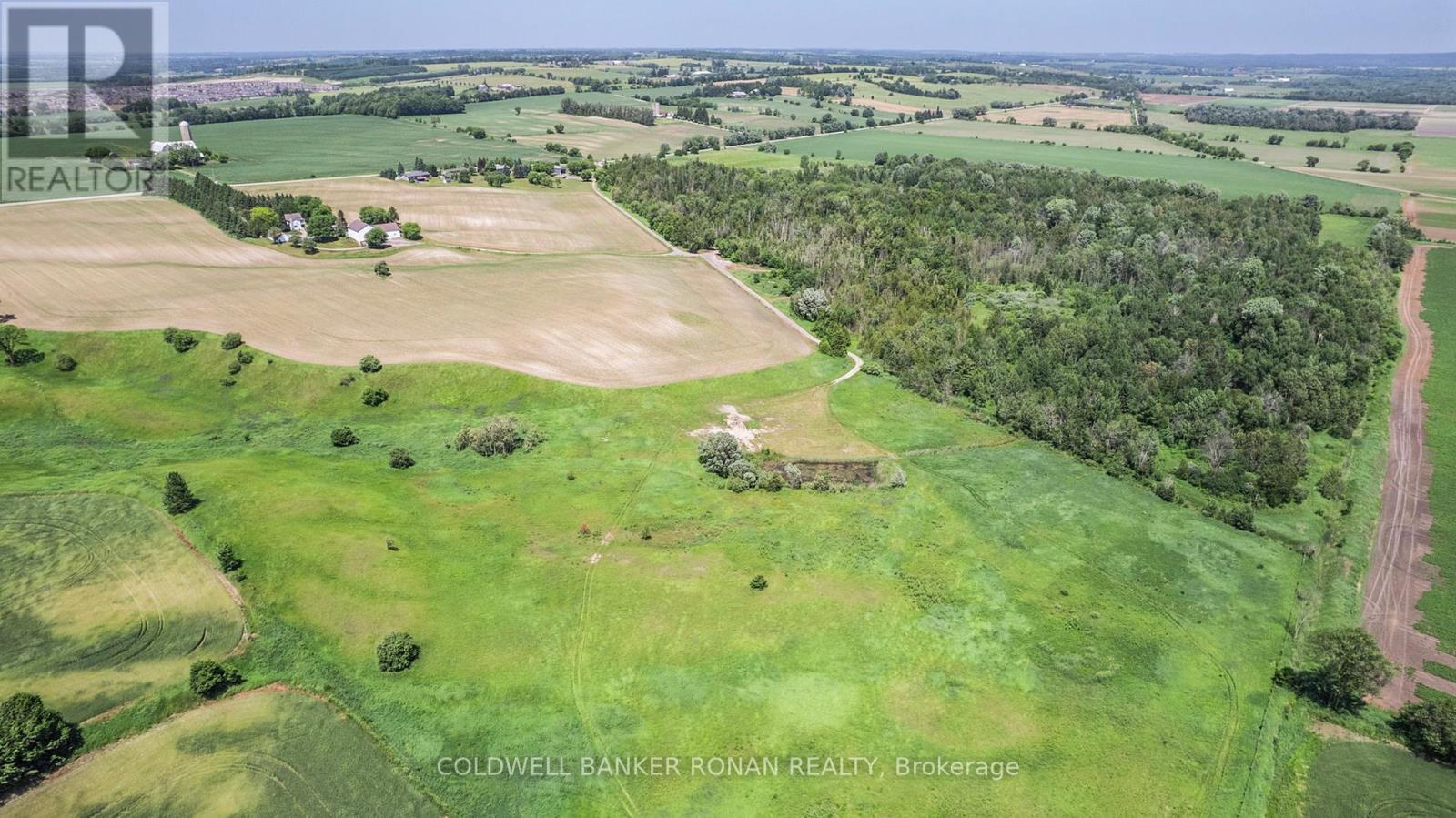 5977 13th Line, New Tecumseth, Ontario  L0L 1L0 - Photo 50 - N12247742