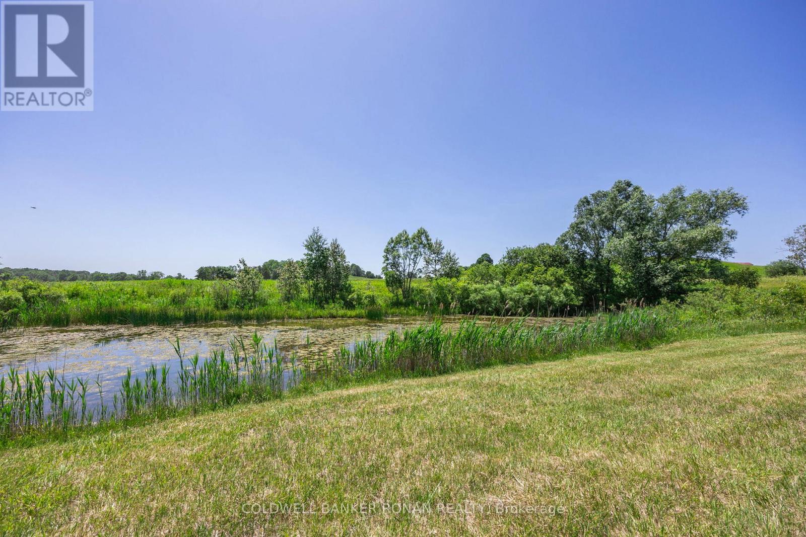 5977 13th Line, New Tecumseth, Ontario  L0L 1L0 - Photo 45 - N12247742
