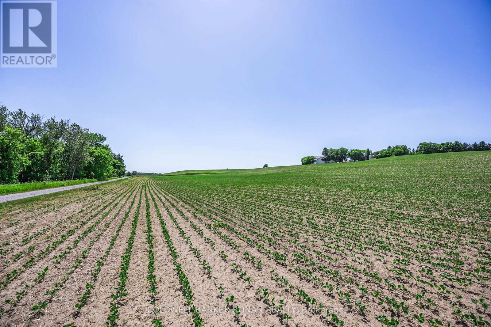 5977 13th Line, New Tecumseth, Ontario  L0L 1L0 - Photo 47 - N12247742