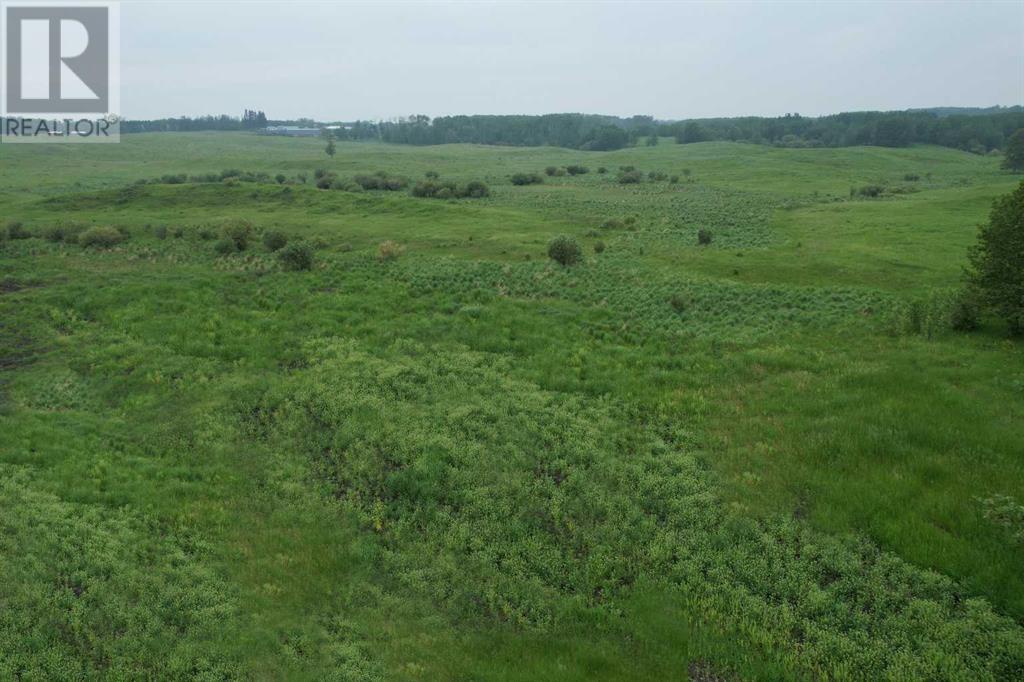 On Township Road 422 Lot 7, Rural Ponoka County, Alberta  T0C 2J0 - Photo 2 - A2228461