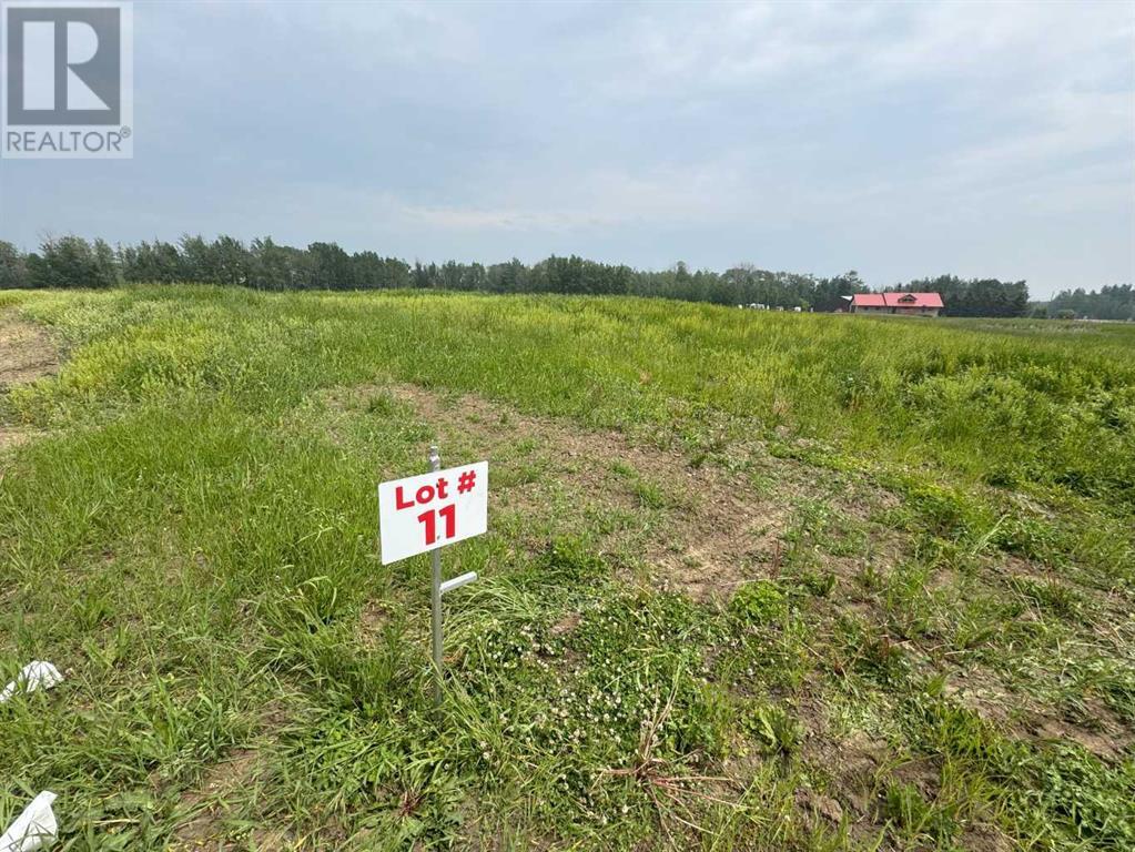 On Township Road 422 Lot 11, Rural Ponoka County, Alberta  T0C 2J0 - Photo 3 - A2228682