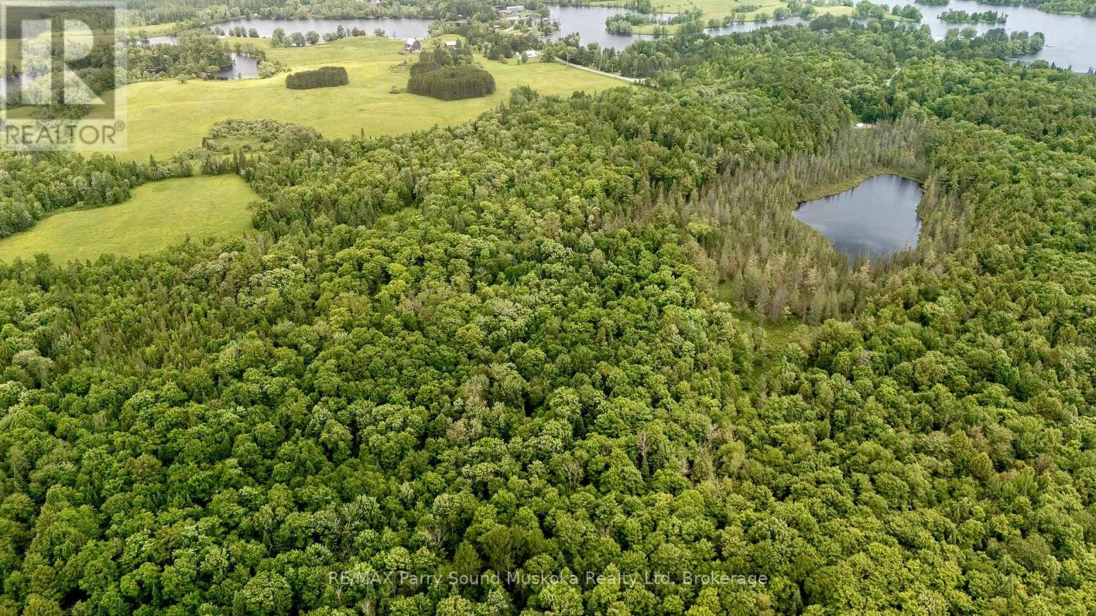 372 Mcdougall Road, Mcdougall, Ontario  P2A 0B3 - Photo 11 - X12248585