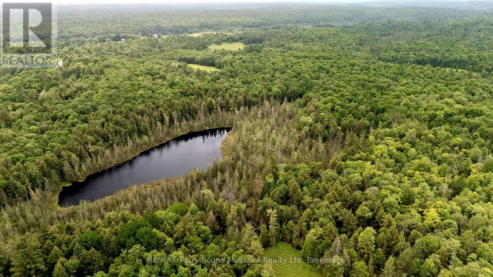 372 Mcdougall Road, Mcdougall, Ontario  P2A 0B3 - Photo 16 - X12248585