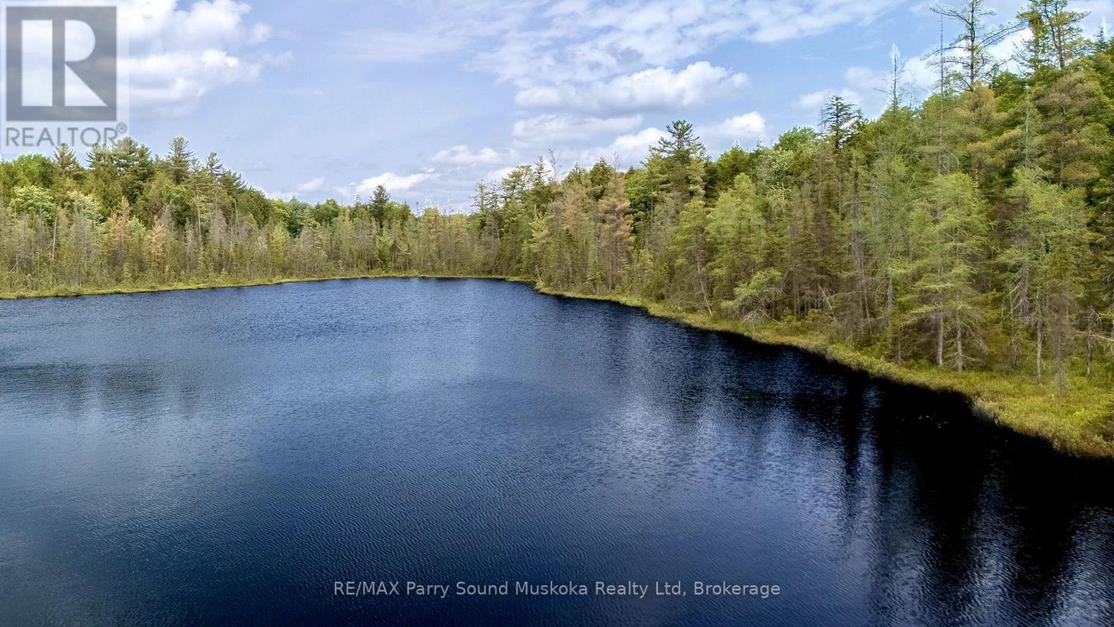 372 Mcdougall Road, Mcdougall, Ontario  P2A 0B3 - Photo 22 - X12248585