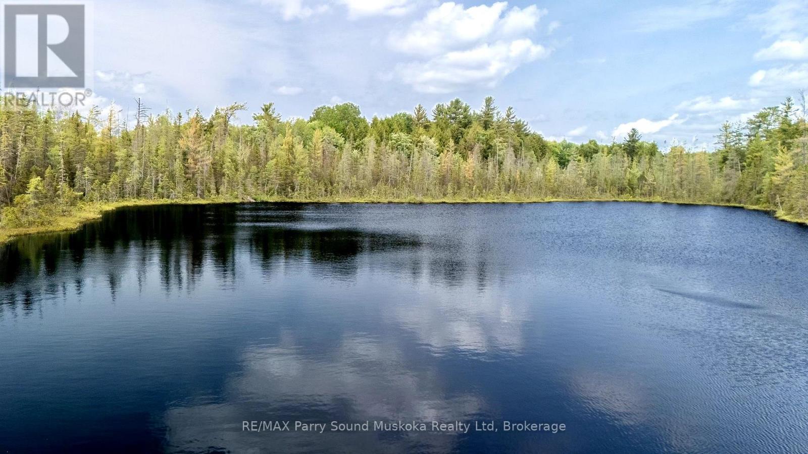 372 Mcdougall Road, Mcdougall, Ontario  P2A 0B3 - Photo 24 - X12248585