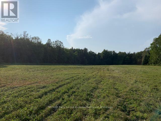 372 Mcdougall Road, Mcdougall, Ontario  P2A 0B3 - Photo 27 - X12248585