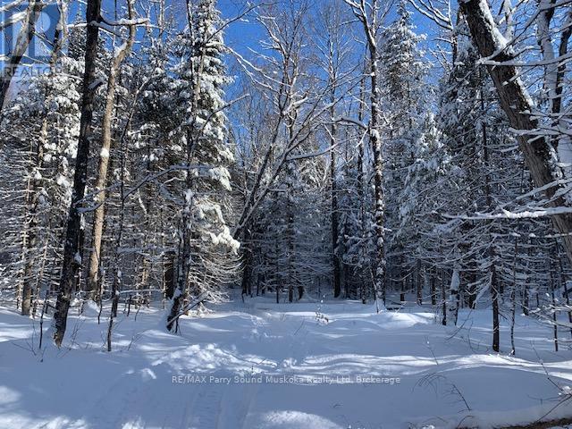 372 Mcdougall Road, Mcdougall, Ontario  P2A 0B3 - Photo 28 - X12248585