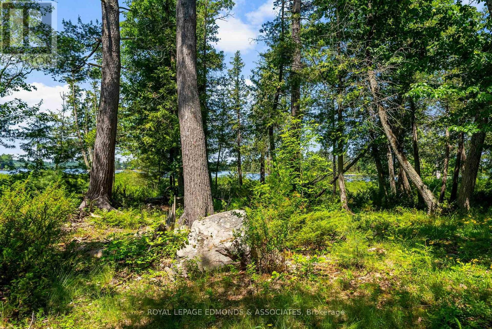 0 Riddell Island, Petawawa, Ontario  K8H 3R2 - Photo 34 - X12248685