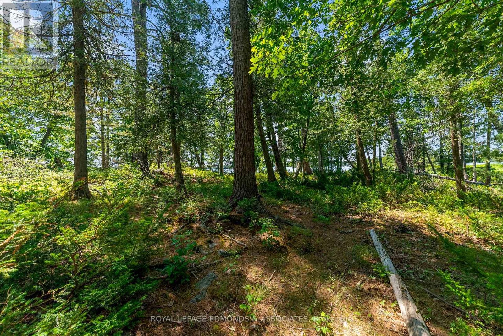 0 Riddell Island, Petawawa, Ontario  K8H 3R2 - Photo 35 - X12248685