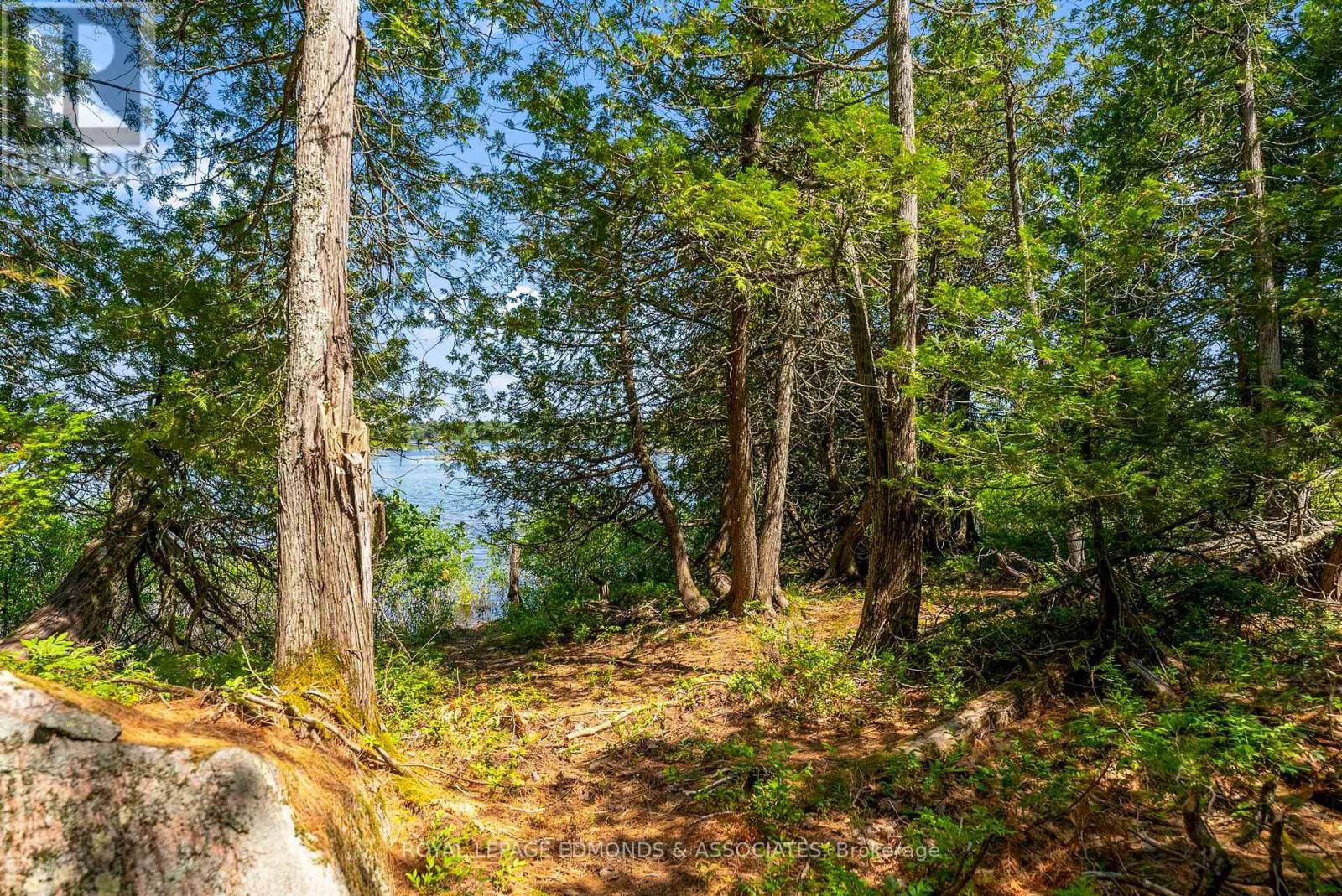 0 Riddell Island, Petawawa, Ontario  K8H 3R2 - Photo 36 - X12248685