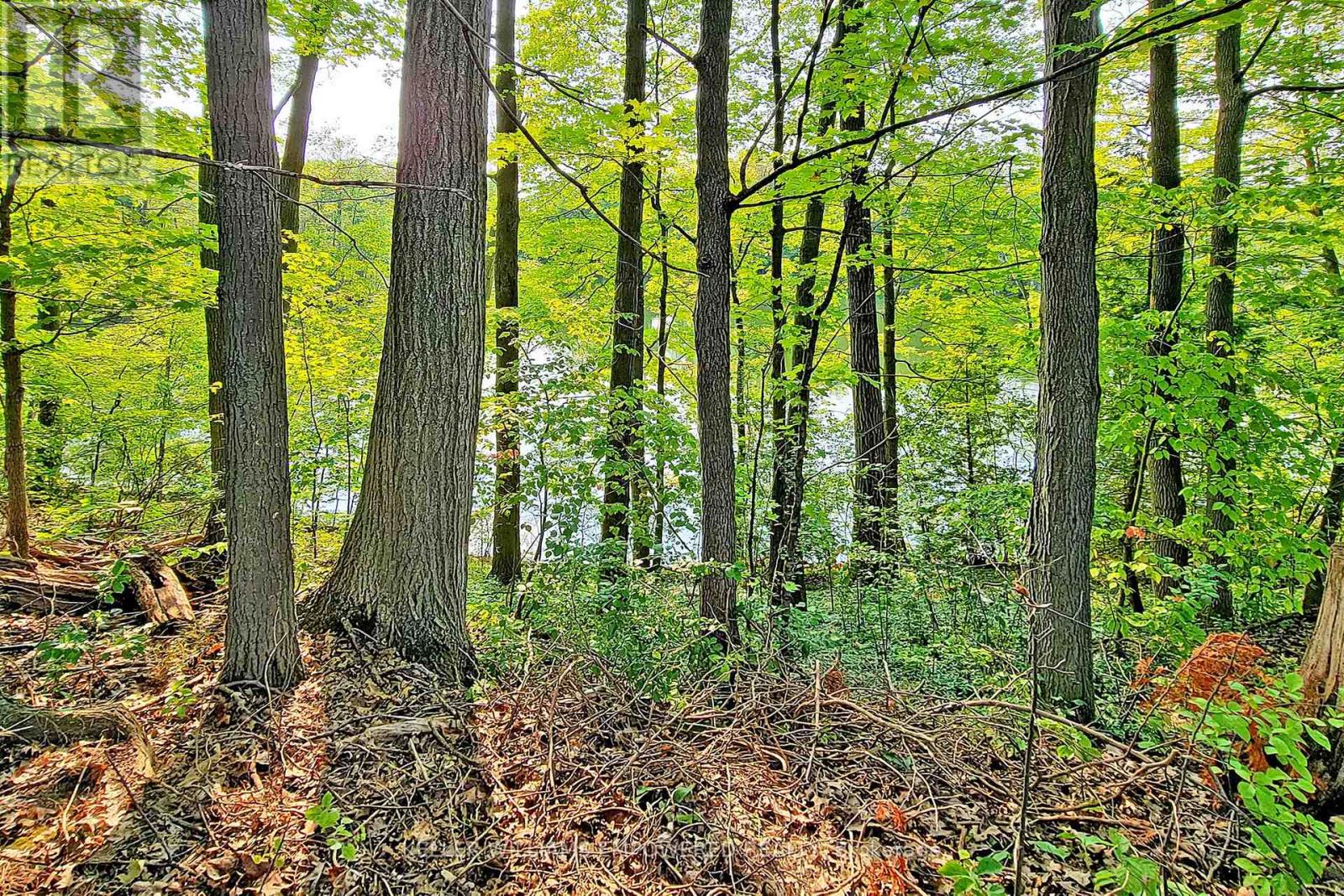 16 Bayview Park Lane, Richmond Hill, Ontario  L4E 4K7 - Photo 39 - N12248627