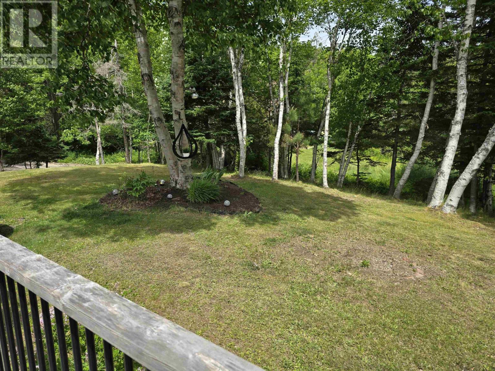 21 Macgillivery Lane, North Side East Bay, Nova Scotia  B1J 1H5 - Photo 18 - 202515894