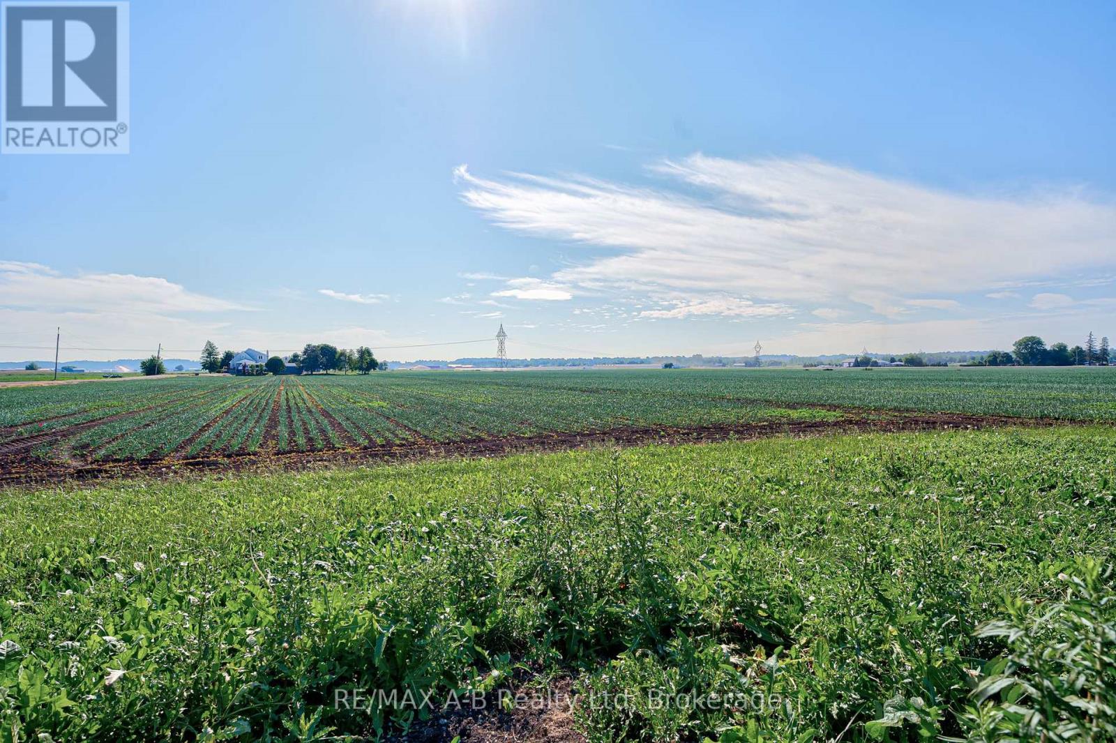 170 Wilhelmina Road, King, Ontario  L3Y 4V9 - Photo 15 - N12248921