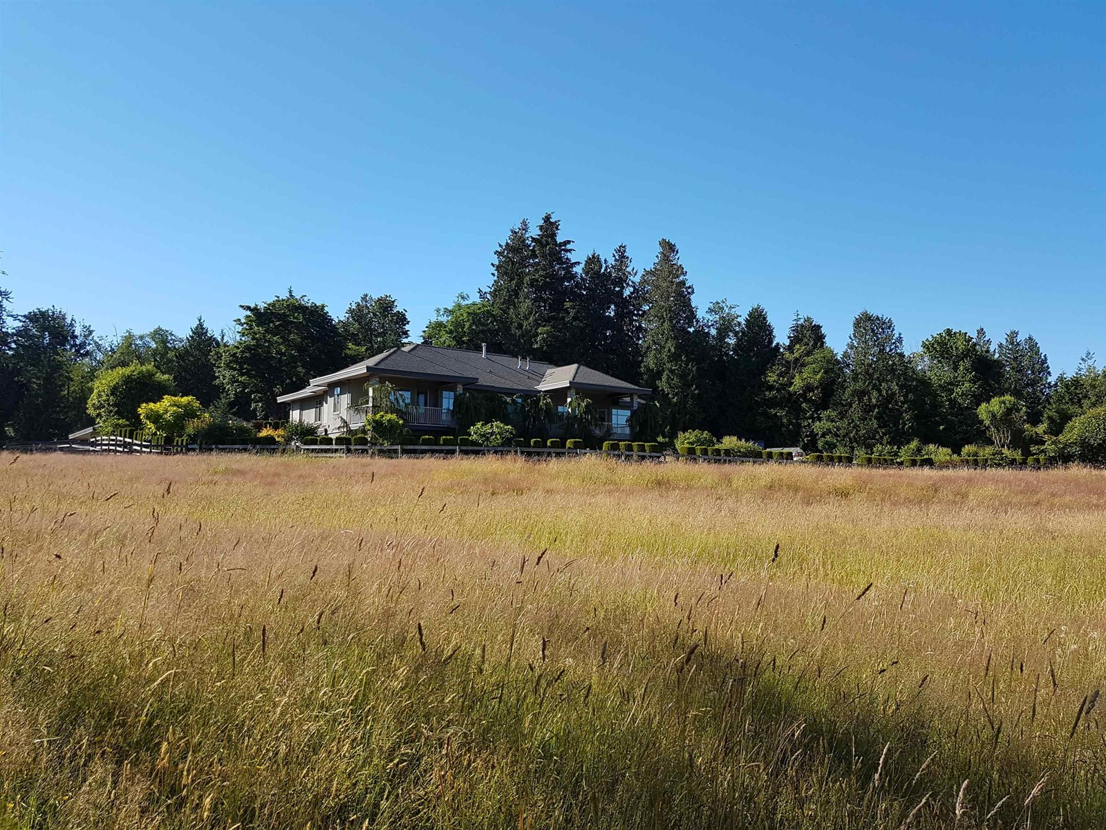 2675 256 Street, Langley, British Columbia  V4W 1Y3 - Photo 6 - R3020683